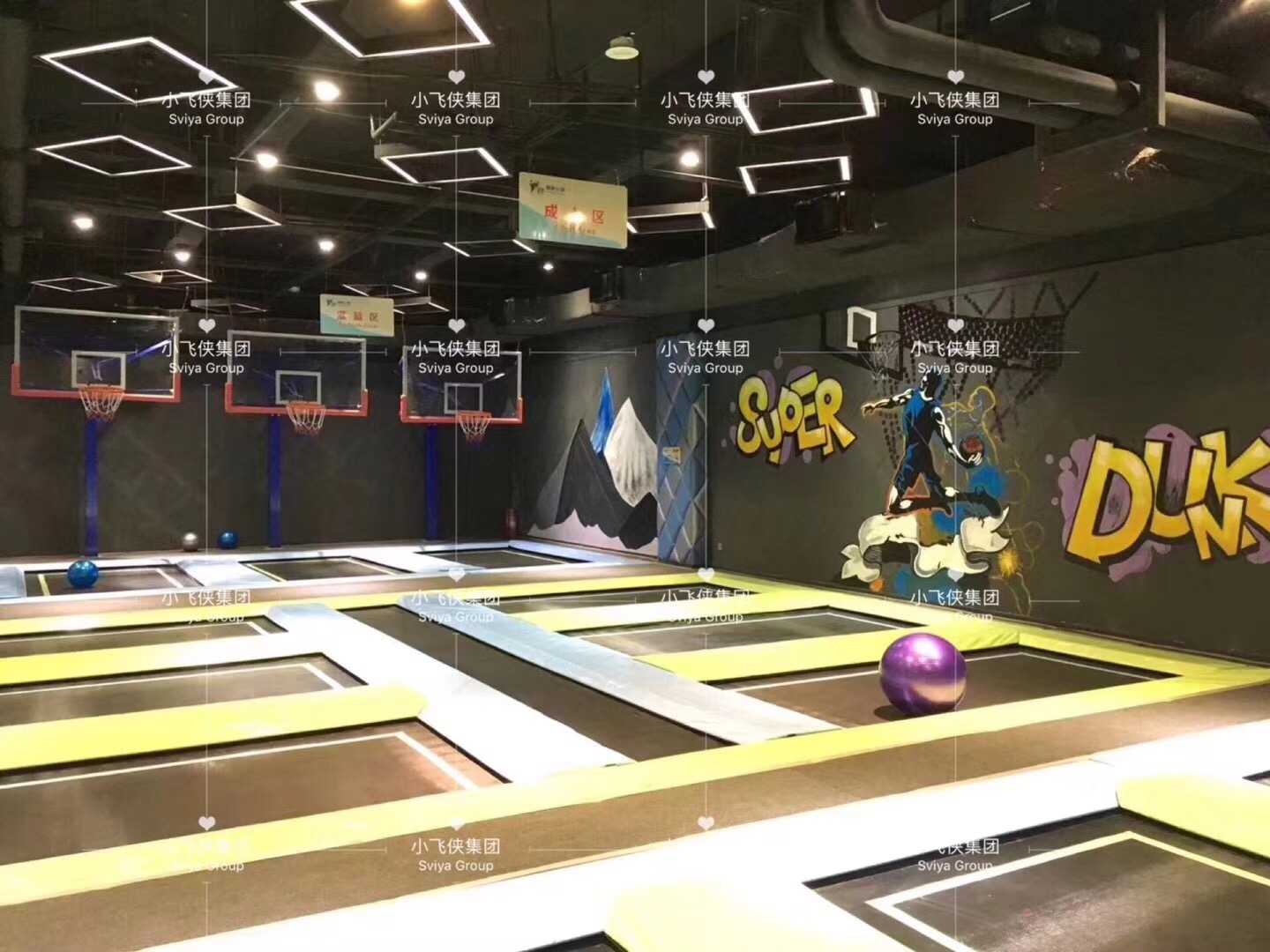 Come An Amazing Time At This Newly Built Trampoline Park